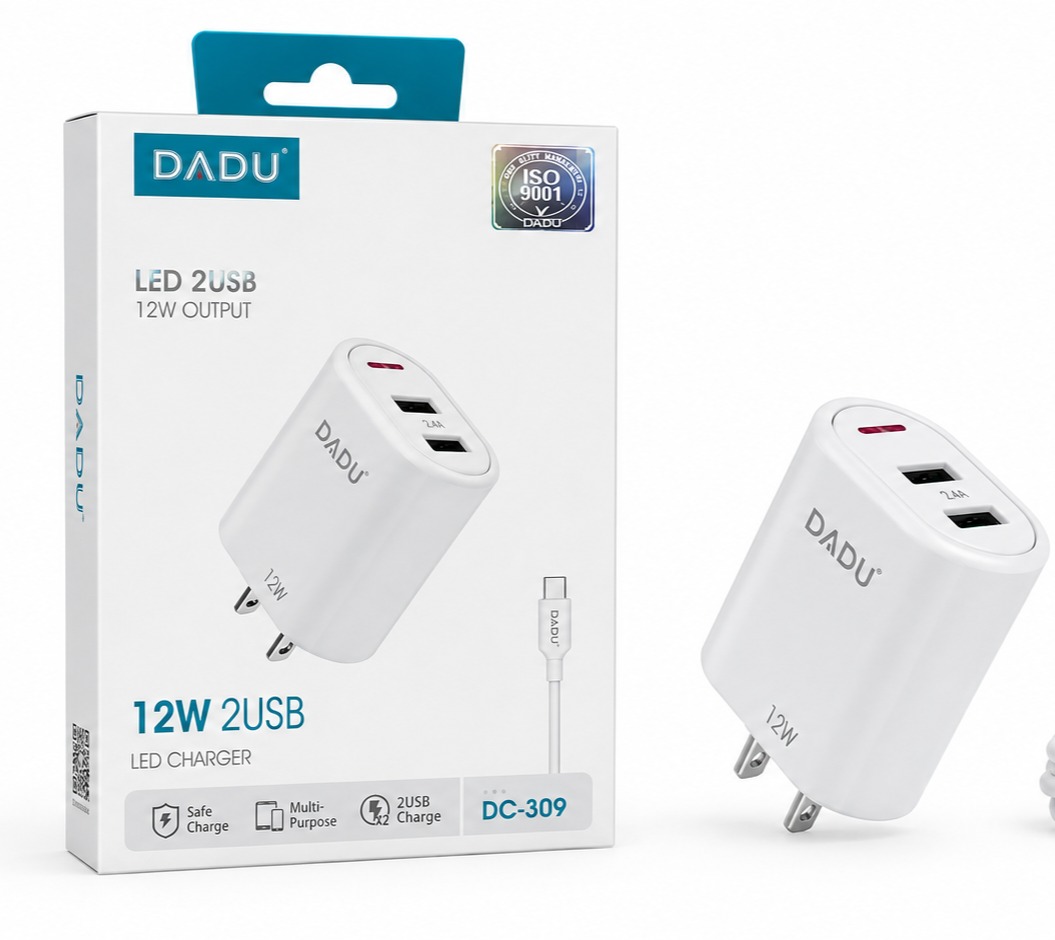 ITEM ACCESORIOS CARGADOR CR DADU 12W DC-309        P899