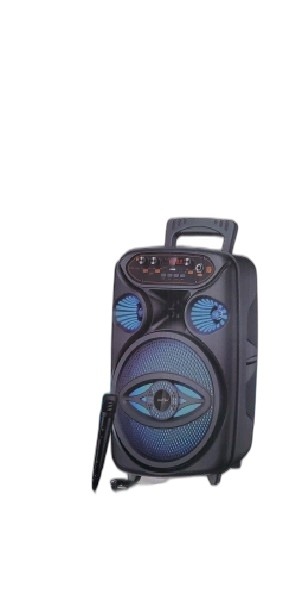 ITEM ACCESORIOS REPRODUCTOR GTS-1700 8"       GTS-1700 P546 P894
